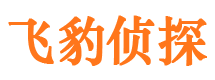 金溪市侦探公司